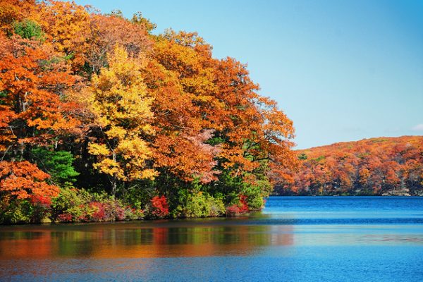 Fall is on its way! Fall is on its way!